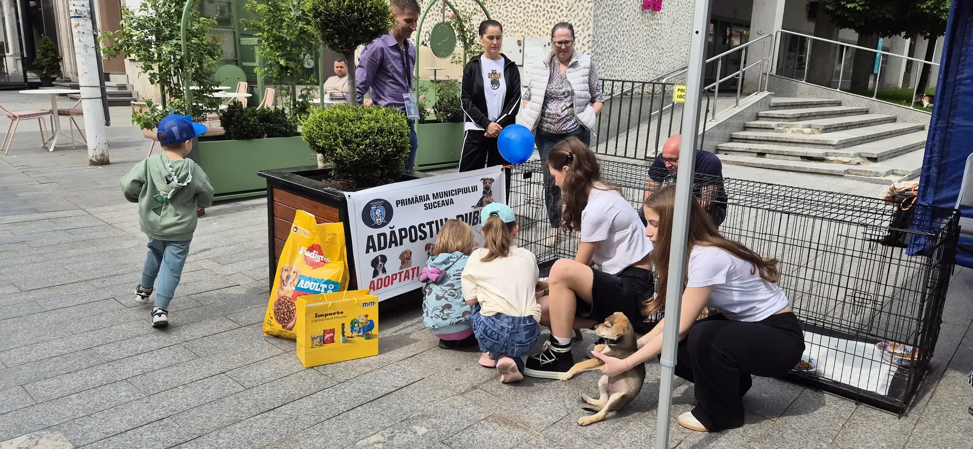 EduFortress Childhood Fest — Voluntari în acțiune